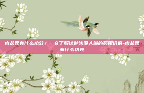 肉苁蓉有什么功效？一文了解这种沙漠人参的药用价值-肉苁蓉有什么功效