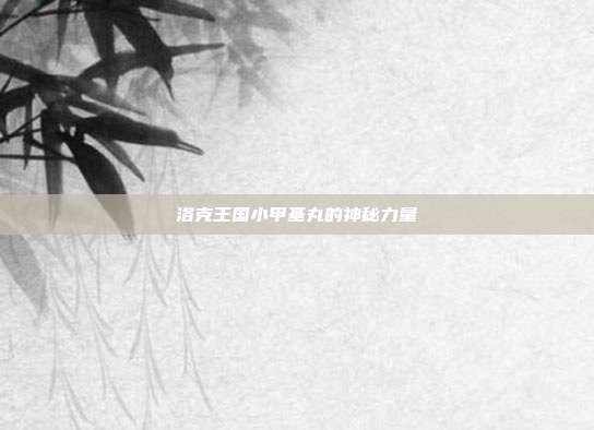 洛克王国小甲基丸的神秘力量