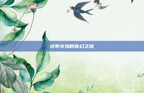 绒布火鸡的奇幻之旅