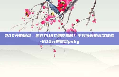 200元的键盘,能在PUBG里吃鸡吗?平民外设的真实体验-200元的键盘pubg