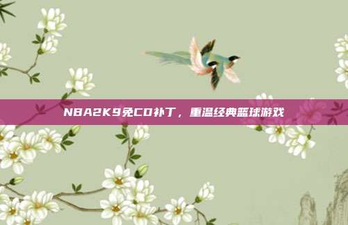NBA2K9免CD补丁,重温经典篮球游戏