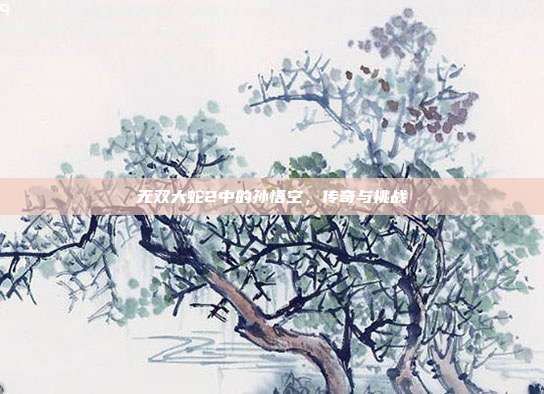 无双大蛇2中的孙悟空,传奇与挑战