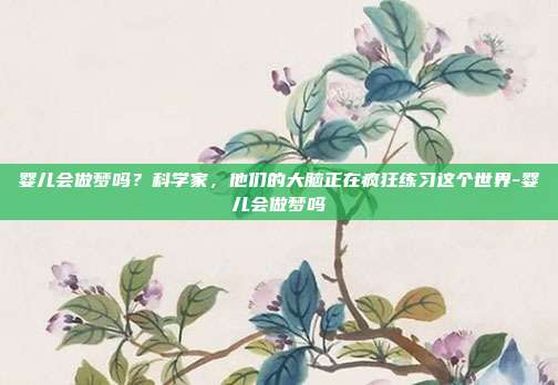 婴儿会做梦吗?科学家,他们的大脑正在疯狂练习这个世界-婴儿会做梦吗