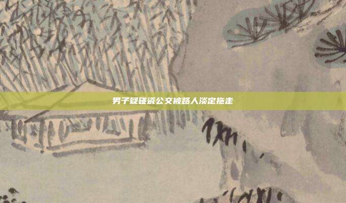 男子疑碰瓷公交被路人淡定拖走