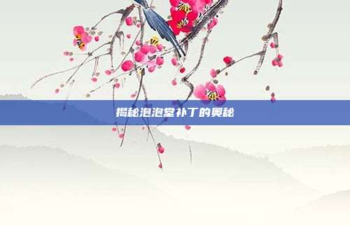 揭秘泡泡堂补丁的奥秘
