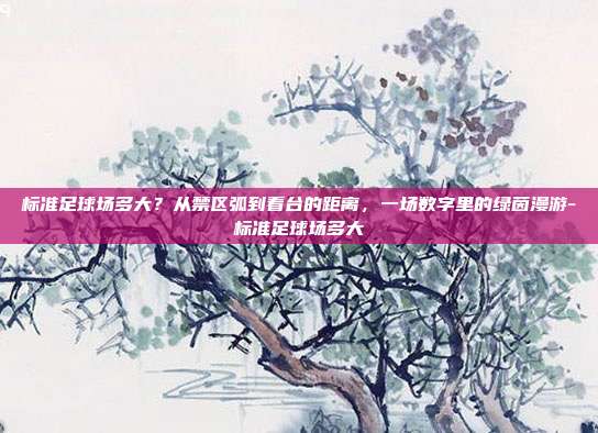 标准足球场多大？从禁区弧到看台的距离，一场数字里的绿茵漫游-标准足球场多大