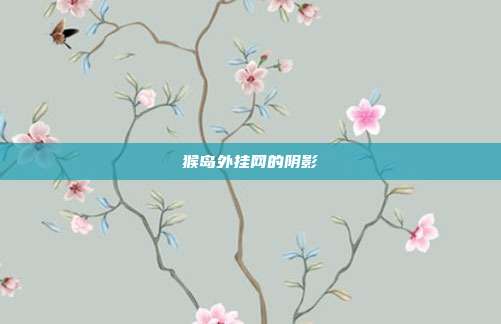 猴岛外挂网的阴影