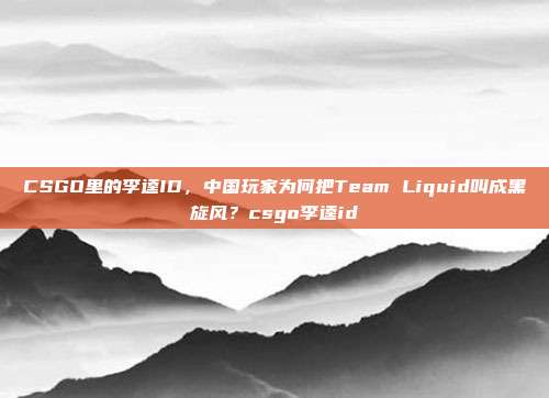 CSGO里的李逵ID,中国玩家为何把Team Liquid叫成黑旋风?csgo李逵id