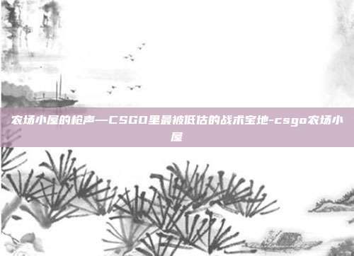 农场小屋的枪声—CSGO里最被低估的战术宝地-csgo农场小屋