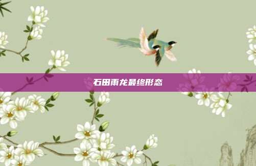 石田雨龙最终形态