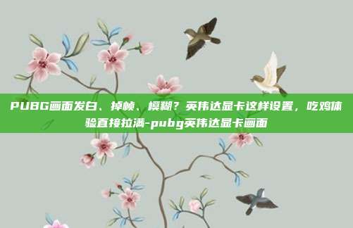 PUBG画面发白、掉帧、模糊?英伟达显卡这样设置,吃鸡体验直接拉满-pubg英伟达显卡画面