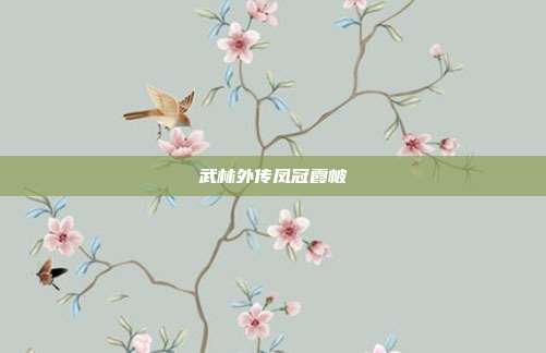 武林外传凤冠霞帔