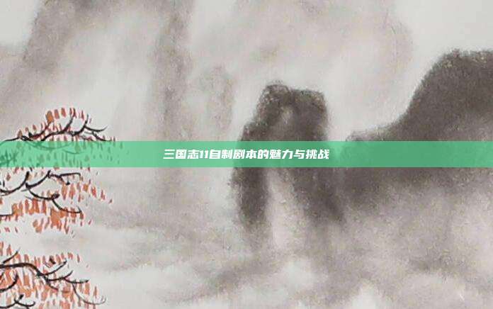 三国志11自制剧本的魅力与挑战