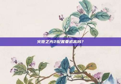 火炬之光2配置要求高吗?