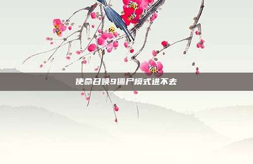 使命召唤9僵尸模式进不去