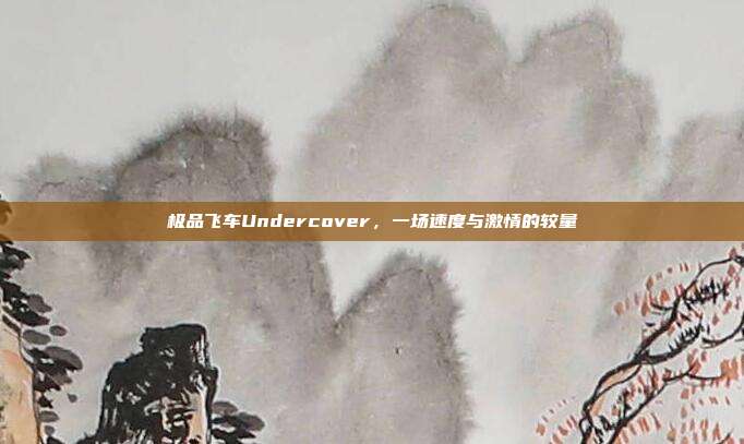 极品飞车Undercover,一场速度与激情的较量