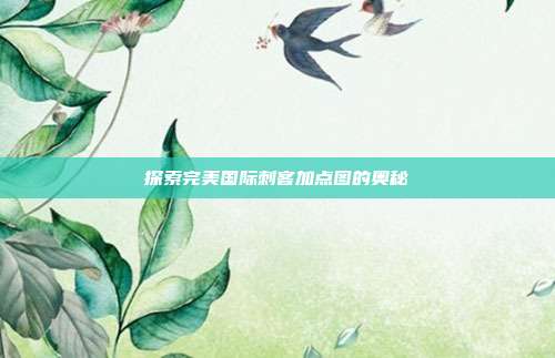 探索完美国际刺客加点图的奥秘