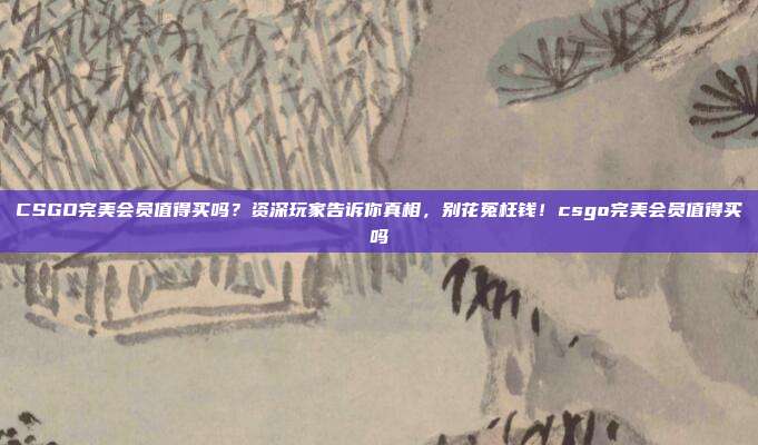 CSGO完美会员值得买吗?资深玩家告诉你真相,别花冤枉钱!csgo完美会员值得买吗