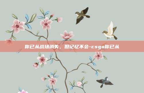 你已从战场消失，但记忆不会-csgo你已从