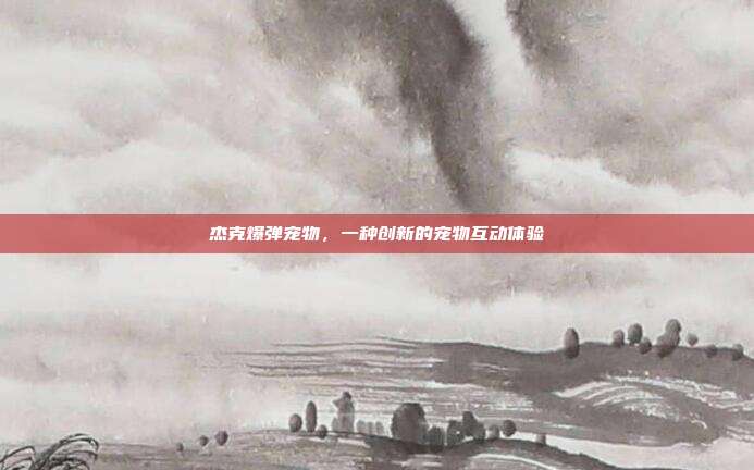 杰克爆弹宠物,一种创新的宠物互动体验