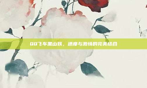 QQ飞车黑山妖,速度与激情的完美结合
