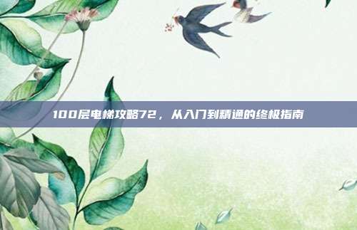 100层电梯攻略72,从入门到精通的终极指南