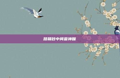 踏鞴砂中间雷神瞳
