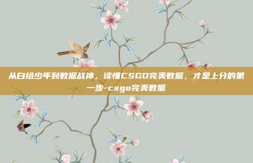 从白给少年到数据战神,读懂CSGO完美数据,才是上分的第一步-csgo完美数据