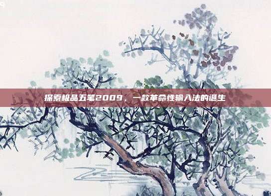 探索极品五笔2009,一款革命性输入法的诞生