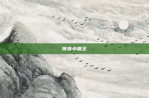 传奇小霸王