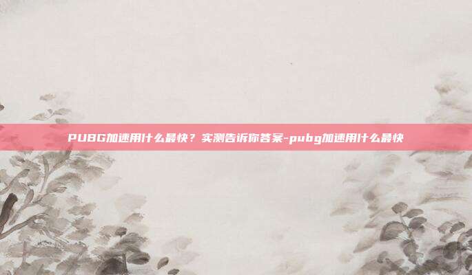 PUBG加速用什么最快?实测告诉你答案-pubg加速用什么最快