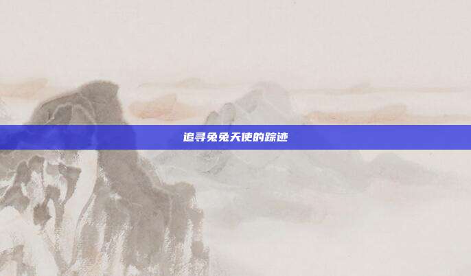 追寻兔兔天使的踪迹