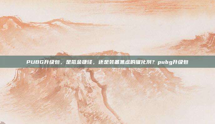 PUBG升级包,是氪金捷径,还是装备焦虑的催化剂?pubg升级包