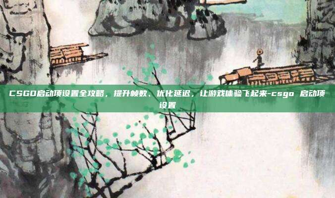 CSGO启动项设置全攻略,提升帧数、优化延迟,让游戏体验飞起来-csgo 启动项设置