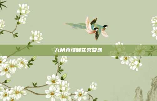 九阴真经移花宫奇遇