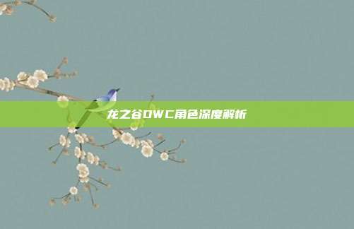 龙之谷DWC角色深度解析