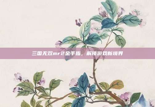 三国无双mr2金手指，解锁游戏新境界