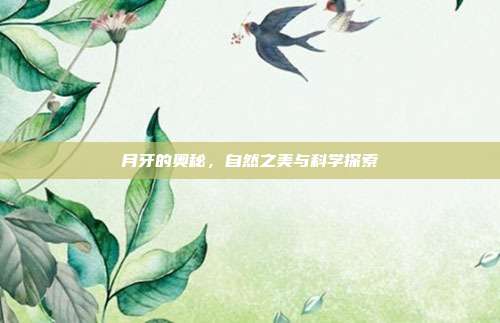 月牙的奥秘,自然之美与科学探索