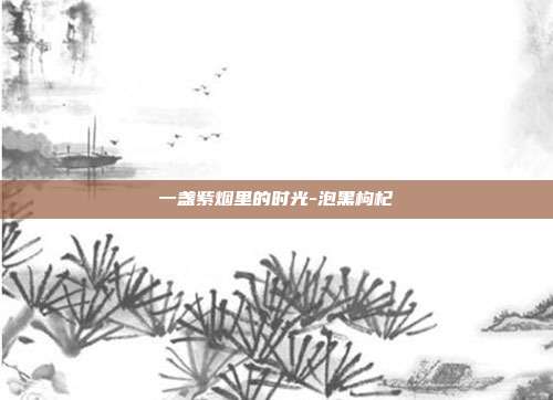 一盏紫烟里的时光-泡黑枸杞