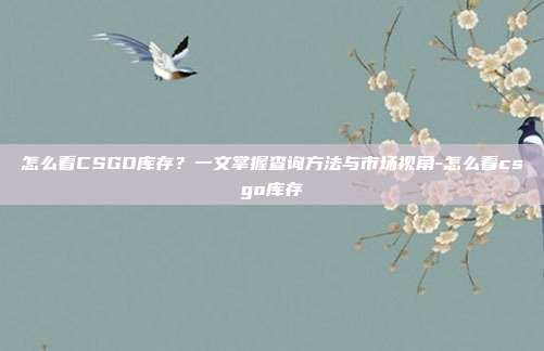 怎么看CSGO库存?一文掌握查询方法与市场视角-怎么看csgo库存
