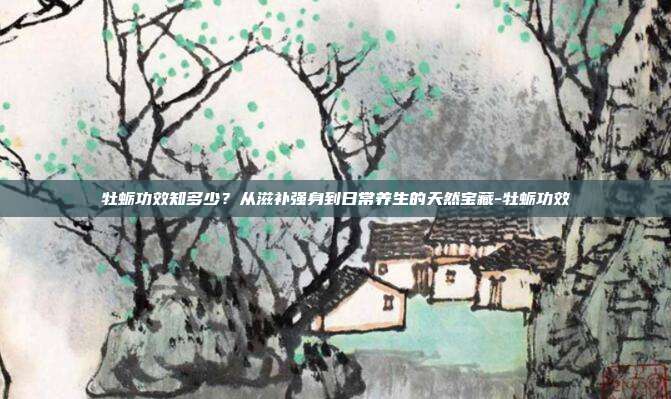 牡蛎功效知多少?从滋补强身到日常养生的天然宝藏-牡蛎功效