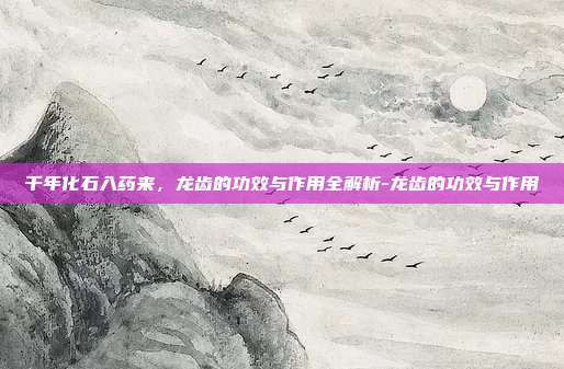 千年化石入药来,龙齿的功效与作用全解析-龙齿的功效与作用