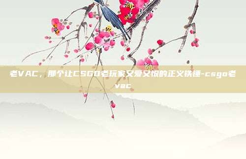 老VAC，那个让CSGO老玩家又爱又恨的正义铁锤-csgo老vac