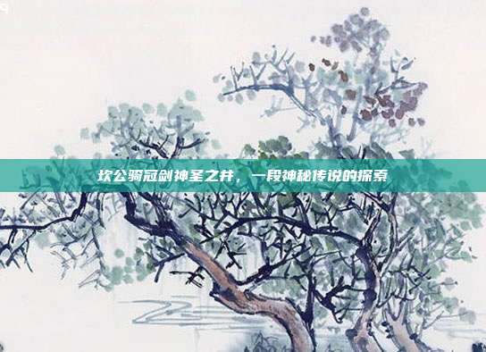 坎公骑冠剑神圣之井，一段神秘传说的探索