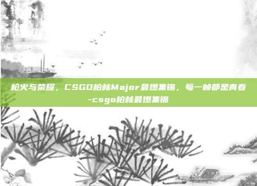 枪火与荣耀,CSGO柏林Major最燃集锦,每一帧都是青春-csgo柏林最燃集锦