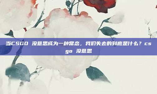 当CSGO 没意思成为一种常态,我们失去的到底是什么?csgo 没意思