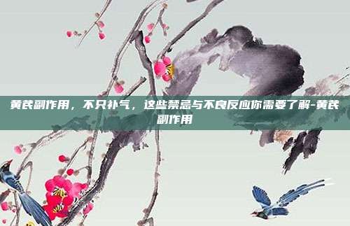 黄芪副作用，不只补气，这些禁忌与不良反应你需要了解-黄芪副作用