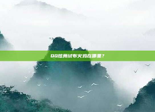 QQ炫舞绒布火鸡在哪里？