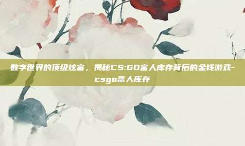 数字世界的顶级炫富,揭秘CS:GO富人库存背后的金钱游戏-csgo富人库存