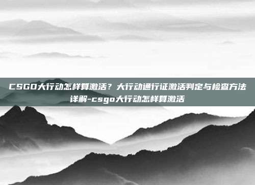 CSGO大行动怎样算激活？大行动通行证激活判定与检查方法详解-csgo大行动怎样算激活